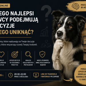 Marketing w hodowli psów 2.0 - dlaczego najlepsi hodowcy podejmują złe decyzje i jak tego uniknąć?