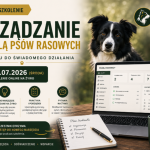 Szkolenie dodatkowe wraz z tworzeniem nowego narzędzia